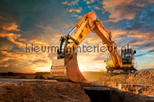 Yellow Digger fottobehaang AS Creation XXL Wallpaper 2 470-348