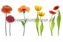 Red Flowers On White fototapeten AS Creation XXL Wallpaper 2 470-360