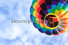 To Ballon fottobehaang AS Creation XXL Wallpaper 2 470-381