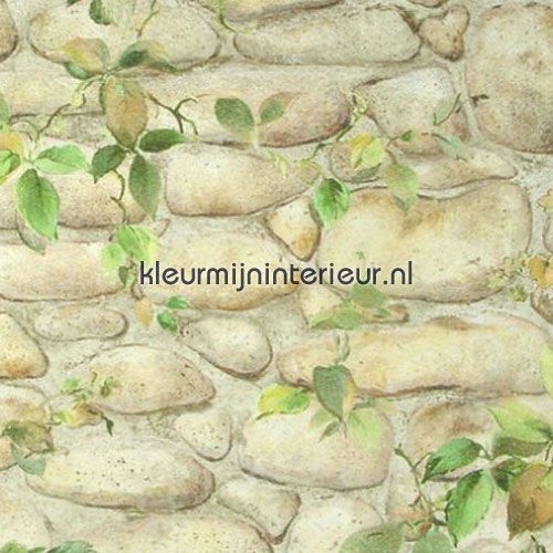 oude muur met klimop behang 8344-16 Dekora Natur 6 AS Creation