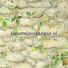 oude muur met klimop papier peint AS Creation Dekora Natur 6 8344-16