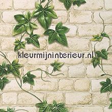 Witte stenen muur met klimop behang AS Creation Dekora Natur 6 9804-34