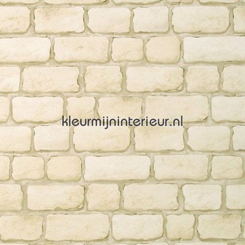 witte stenen muur 2 wallcovering 9805-33 wood AS Creation