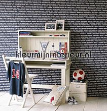 All sports wallcovering 115621 Esta home