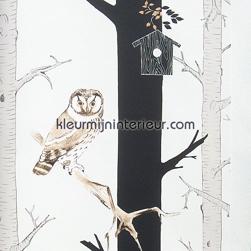 uil behang OZ 7303 jongens Onszelf