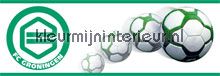 FC Groningen papel pintado Noordwand urbano 