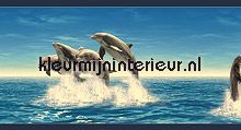 Dolfijnenrand adesivi murali Dutch Wallcoverings sport 