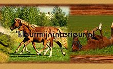 Horses rand wallcovering Dutch Wallcoverings urban 
