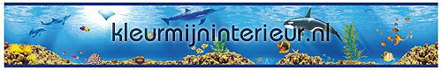 Sea life rand decoration stickers 115 underwater world Dutch Wallcoverings