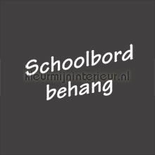 Schoolbord behang papel de parede veloute 