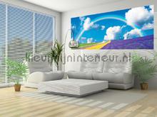  fotobehang kinderkamer meisjes Kleurmijninterieur