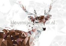 106958 fotobehang Kleurmijninterieur dieren 