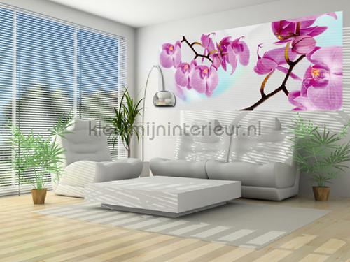  fototapet Blomster - Planter Kleurmijninterieur