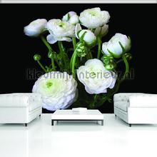 106960 fototapet Kleurmijninterieur All-images