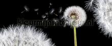 106968 fototapet Kleurmijninterieur All-images