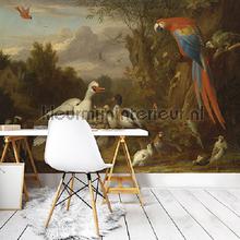 A Macaw, Ducks, Parrots and Other Birds in a Lands fotobehang Kleurmijninterieur Kunst Ambiance 