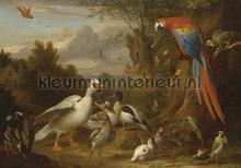 A Macaw, Ducks, Parrots and Other Birds in a Lands fototapet Kleurmijninterieur All-images