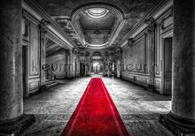 Red carpet in a palace photomural Kleurmijninterieur world maps 