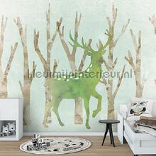  fotobehang kinderkamer meisjes Kleurmijninterieur