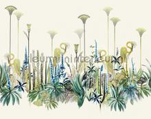 Lush Amazon photomural Khroma world maps 