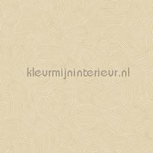 Bahia wallcovering Hookedonwalls Vintage- Old wallpaper 