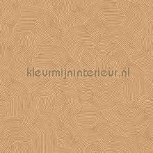 Bahia wallcovering Hookedonwalls Vintage- Old wallpaper 
