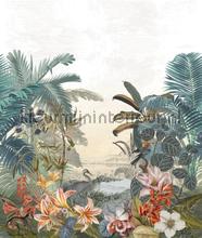 Paraiba multicouleurs fotomurais Casamance selva 