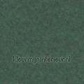 gewolkte semi uni  groen wallcovering plain colors Pattern