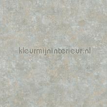 gewolkte semi uni  oud grijsgroen wallcovering plain colors Kleurmijninterieur