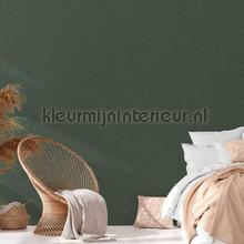 uni oudgroen wallcovering plain colors Kleurmijninterieur