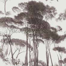 Italian landscape trees tapet Kleurmijninterieur Vintage Gamle 
