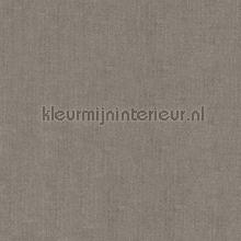 Plain 1 papel pintado Hookedonwalls Amur 15103