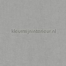 Plain 1 papel pintado Hookedonwalls Amur 15105