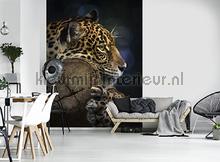 107563 fototapet Kleurmijninterieur All-images