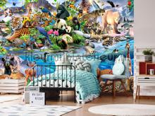 Animals all over the world fototapet Kleurmijninterieur All-images