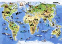 Childrens worldmap fototapet Kleurmijninterieur All-images