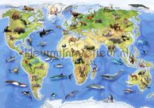 Childrens worldmap fottobehaang Kleurmijninterieur Alle-ploatjes