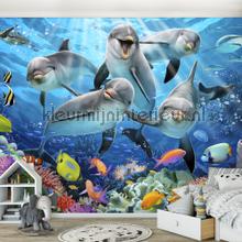Dolphins under water papier murales Kleurmijninterieur Voitures Transport 
