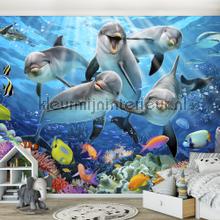 Dolphins under water fotomurales Kleurmijninterieur Todas-las-imgenes