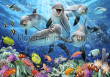 Dolphins under water fotomurales Kleurmijninterieur Todas-las-imgenes