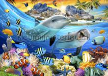 Dolphins smiling in the sea papier murales Kleurmijninterieur Voitures Transport 