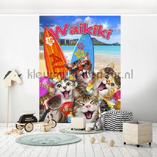 Cats on Waikiki beach fotobehang Kleurmijninterieur kinderkamer meisjes 