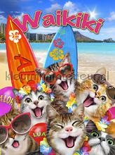 Cats on Waikiki beach fototapet Kleurmijninterieur All-images
