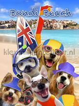 Dogs at bondi beach fototapet Kleurmijninterieur All-images