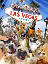 Dogs in Las Vegas fototapet Kleurmijninterieur All-images