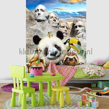 Panda at Mount Rushmore fototapet Animals Kleurmijninterieur