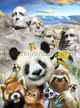 Panda at Mount Rushmore fotobehang Kleurmijninterieur dieren 