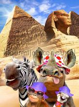 Animals in Egypt fototapet Kleurmijninterieur All-images