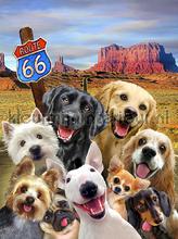 Dogs at route 66 fototapet Kleurmijninterieur All-images