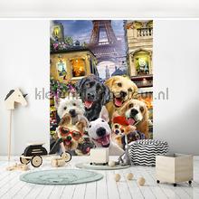 Dogs in Paris fotobehang kinderkamer meisjes Kleurmijninterieur